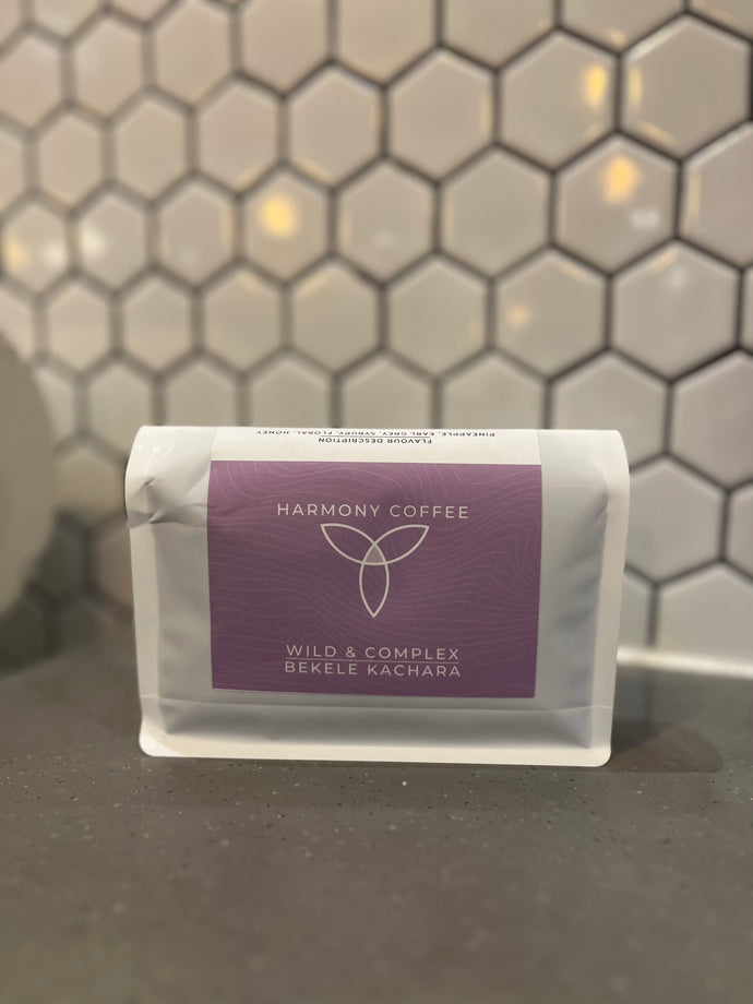 Ethiopia Bekele Kachara Natural
