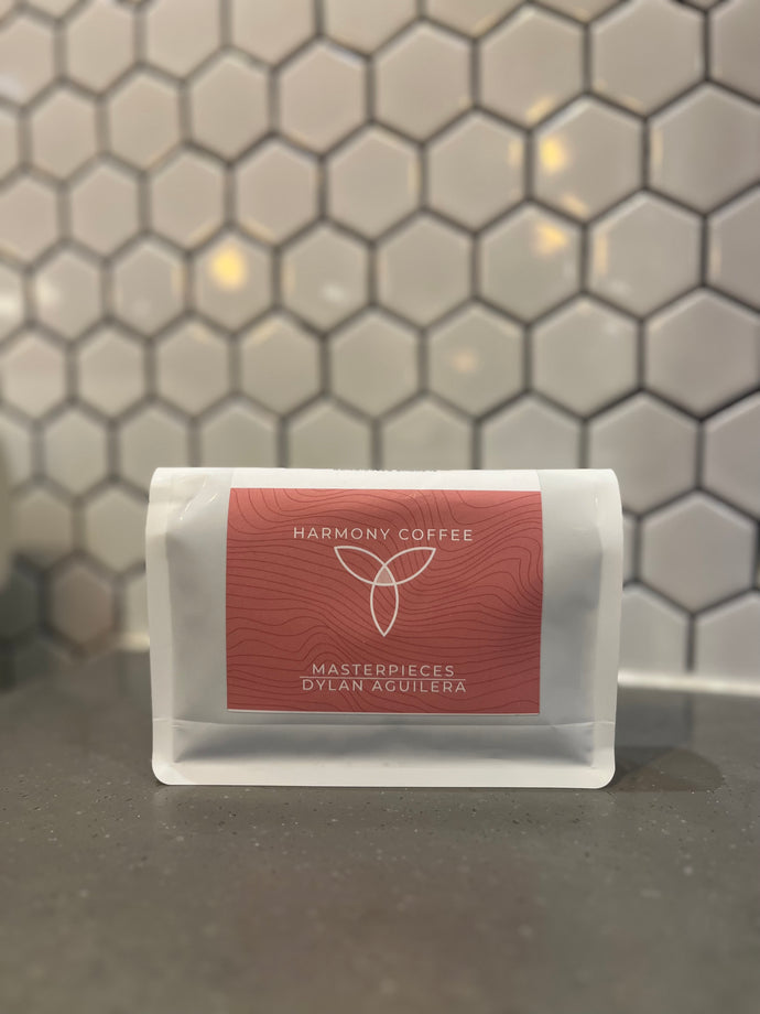 Costa Rica Dylan Aguilera Gesha Washed