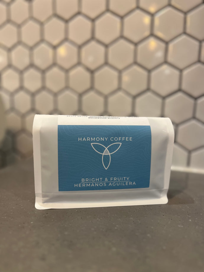 Costa Rica Hermanos Aguilera Washed